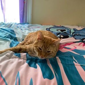 Meet your Posher, Suzanne